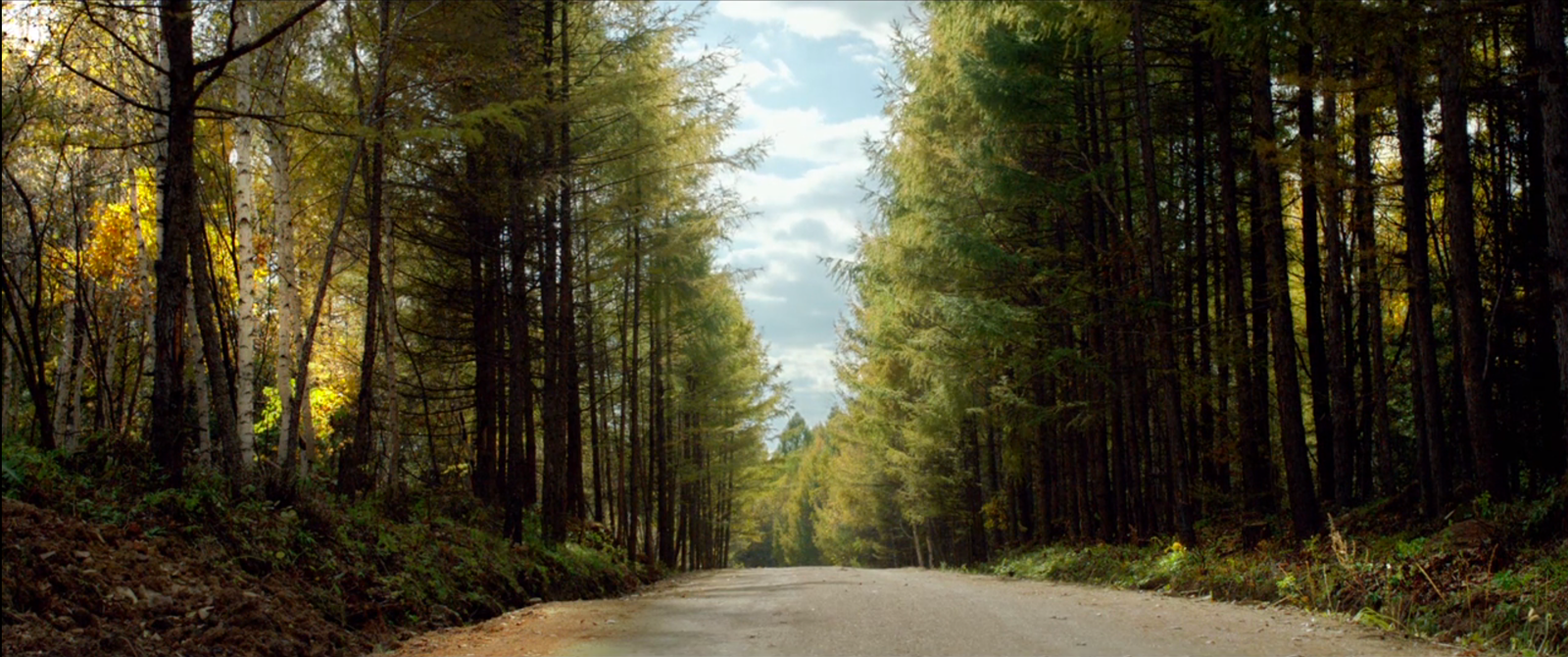 东北偏北剧照的剧照