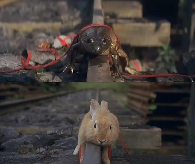 东京塔剧照的剧照