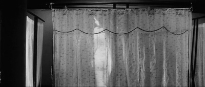 黑猫剧照的剧照