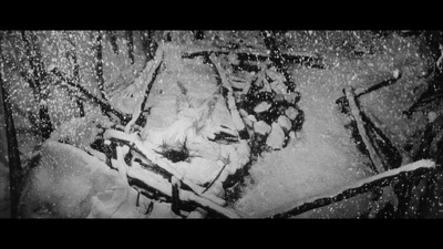 黑猫剧照的剧照