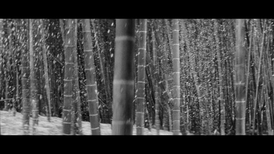 黑猫剧照的剧照