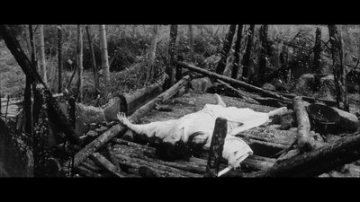 黑猫剧照的剧照