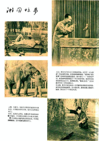 游园惊梦剧照的剧照