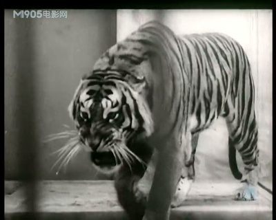 游园惊梦剧照的剧照