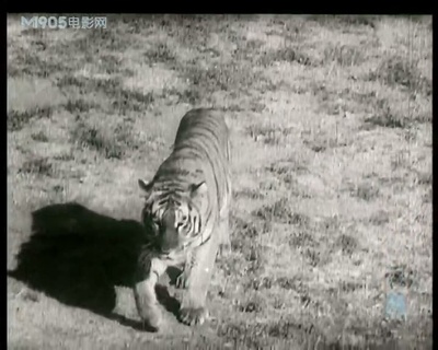 游园惊梦剧照的剧照