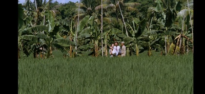 香蕉天堂剧照的剧照