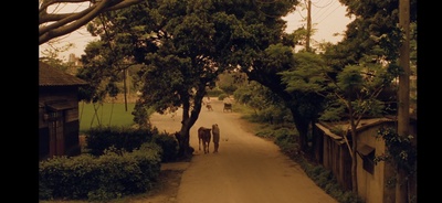 香蕉天堂剧照的剧照