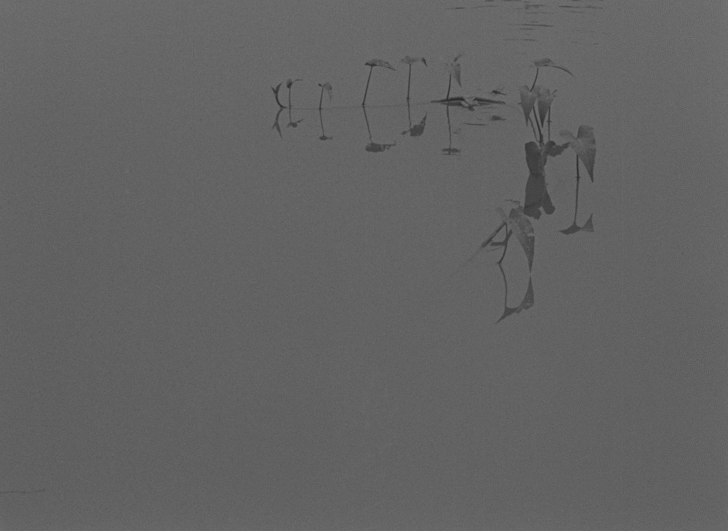 大地之歌剧照的剧照