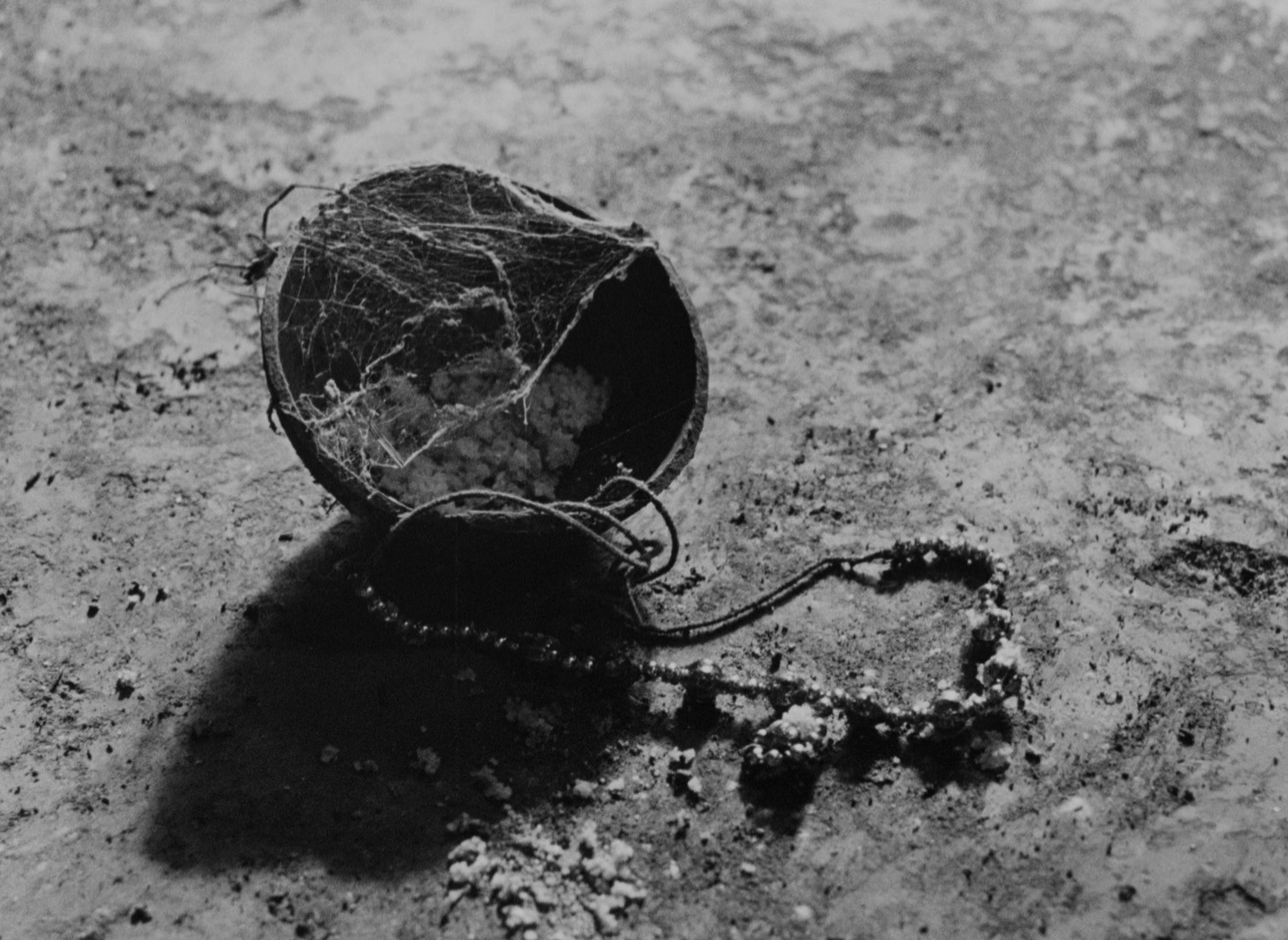 大地之歌剧照的剧照