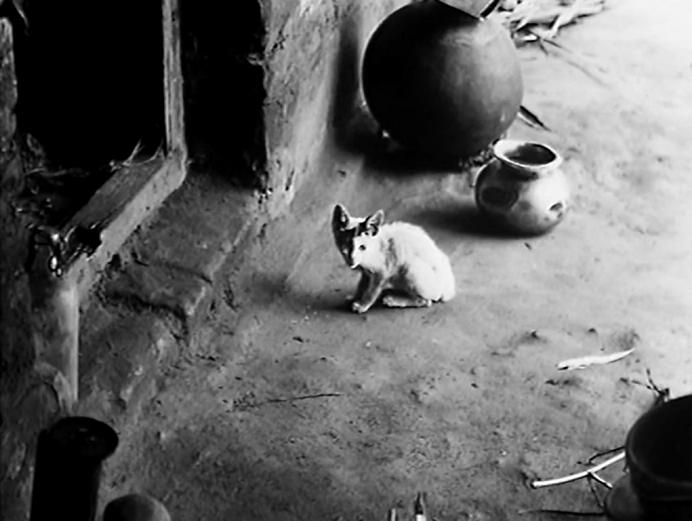 大地之歌剧照的剧照