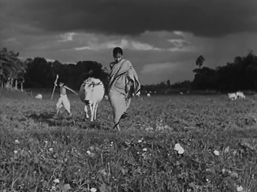 大地之歌剧照的剧照