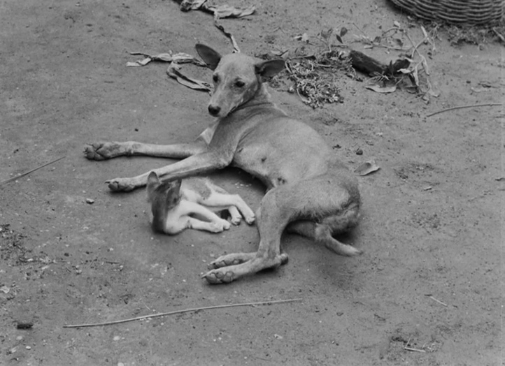 大地之歌剧照的剧照