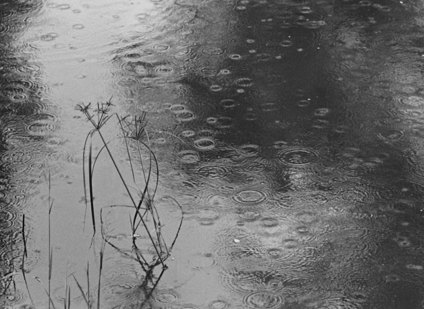 大地之歌剧照的剧照