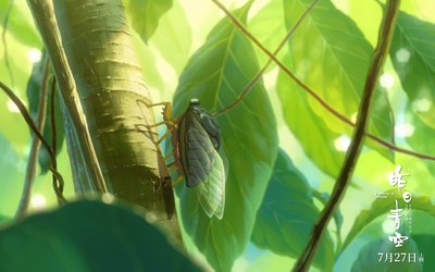 昨日青空剧照的剧照