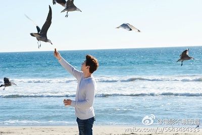 不期而遇剧照的剧照