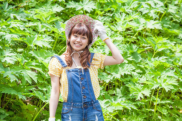 再见金钱，前往贫困村剧照的剧照