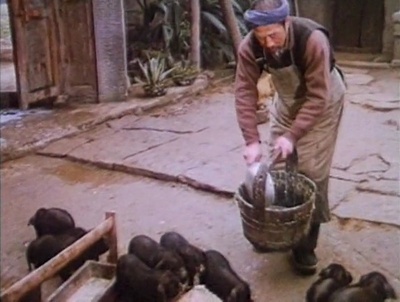 许茂和他的女儿们剧照的剧照