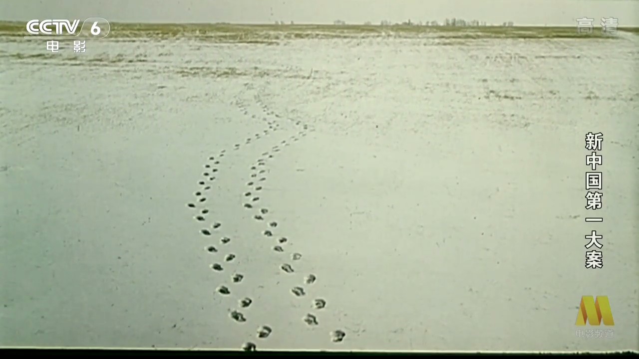 新中国第一大案剧照的剧照