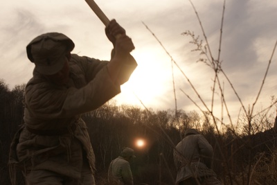 南泥湾剧照的剧照