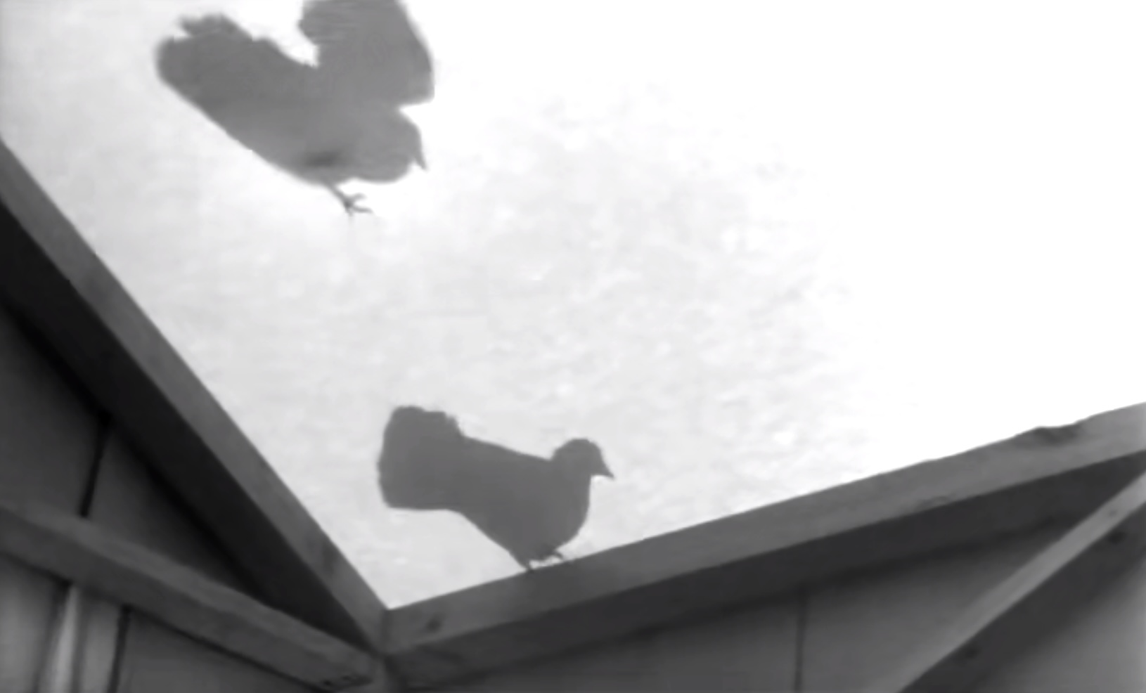 圣女贞德的审判剧照的剧照