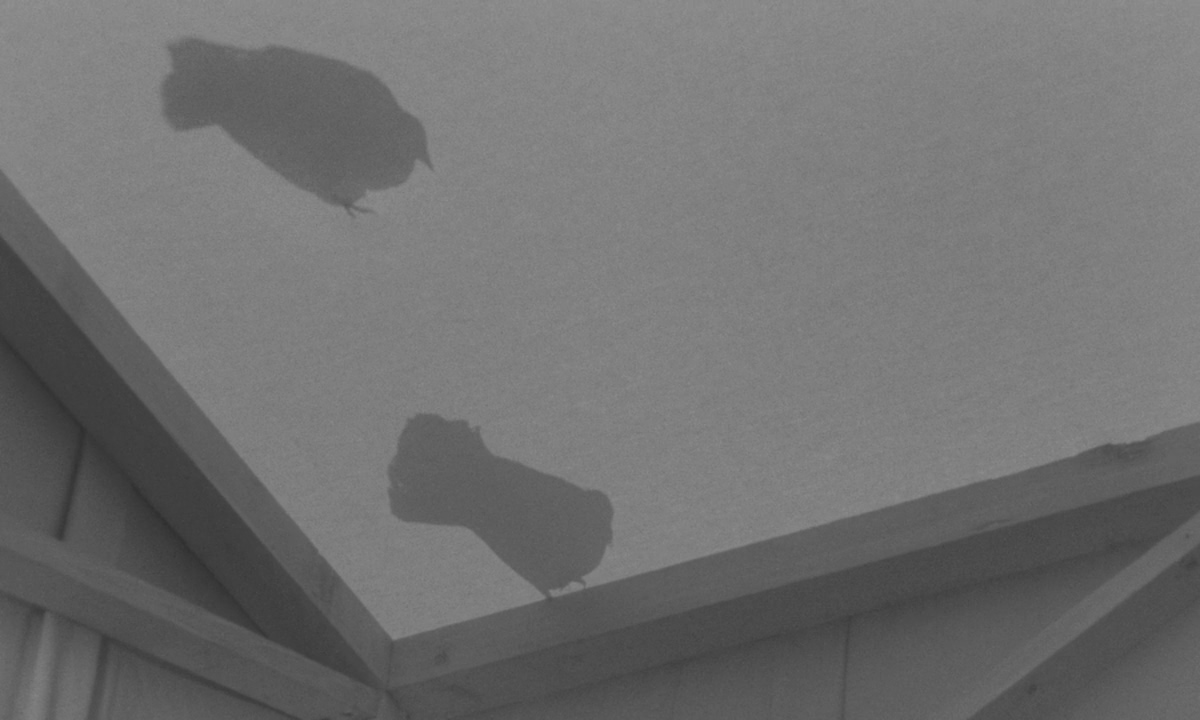 圣女贞德的审判剧照的剧照