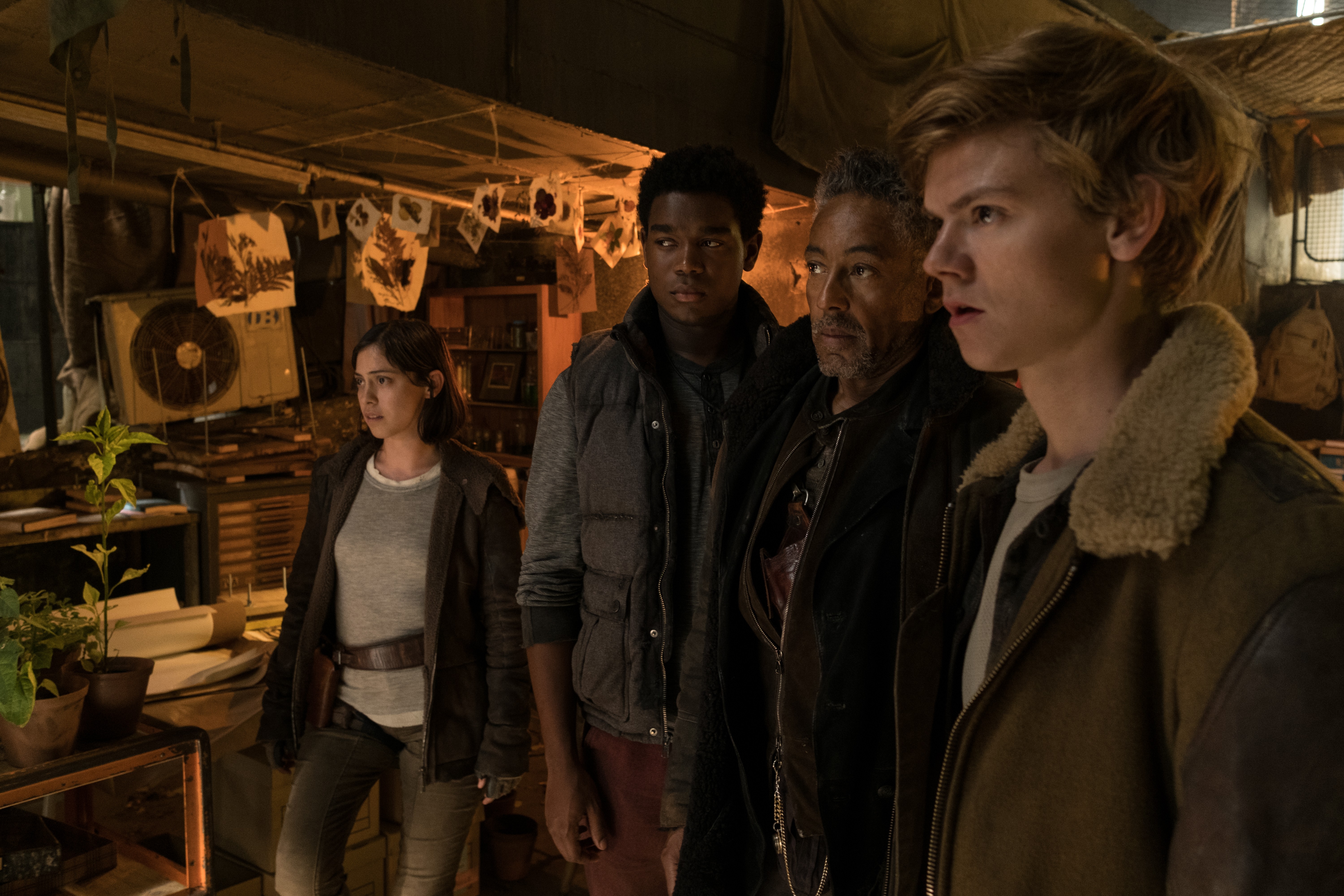 移动迷宫3：死亡解药剧照的剧照