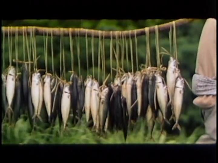 稻草人剧照的剧照