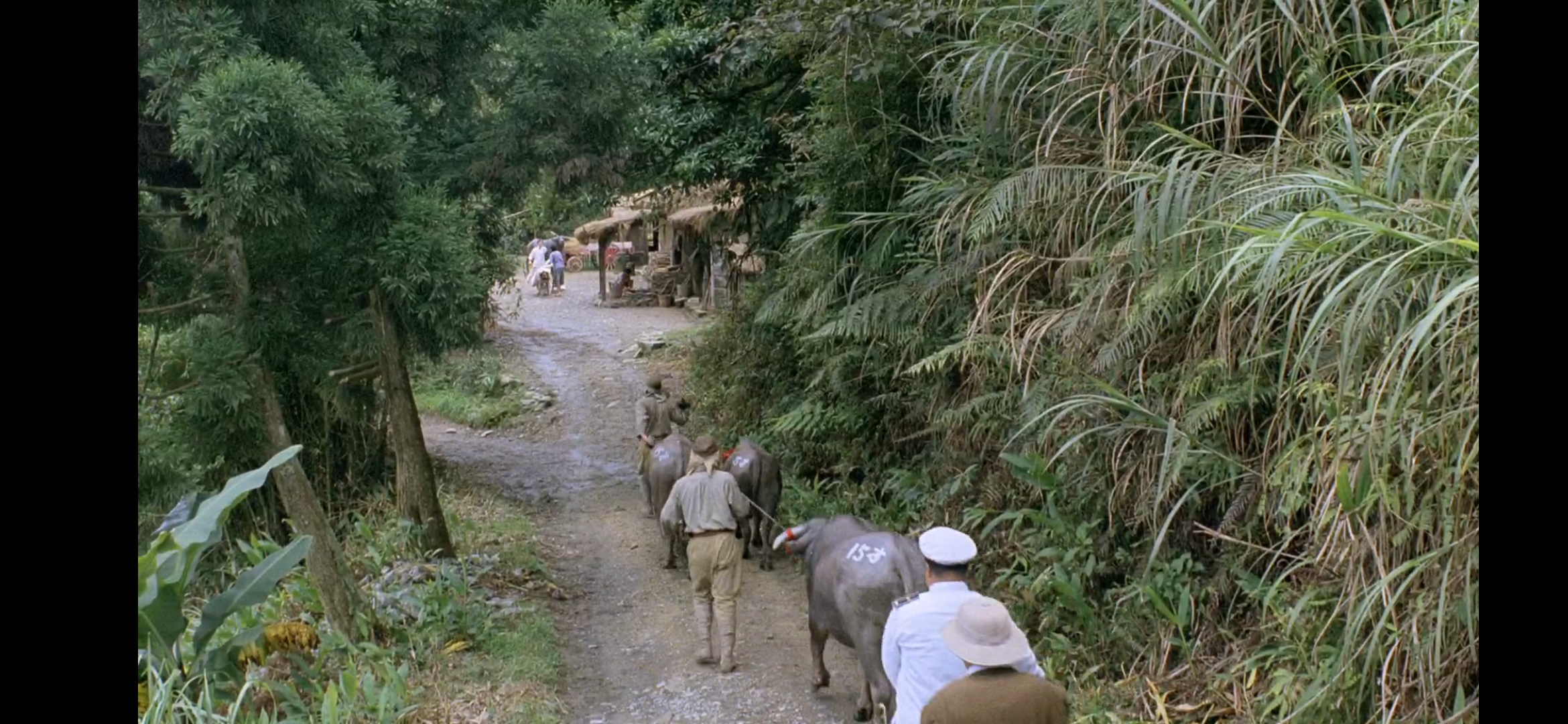 稻草人剧照的剧照