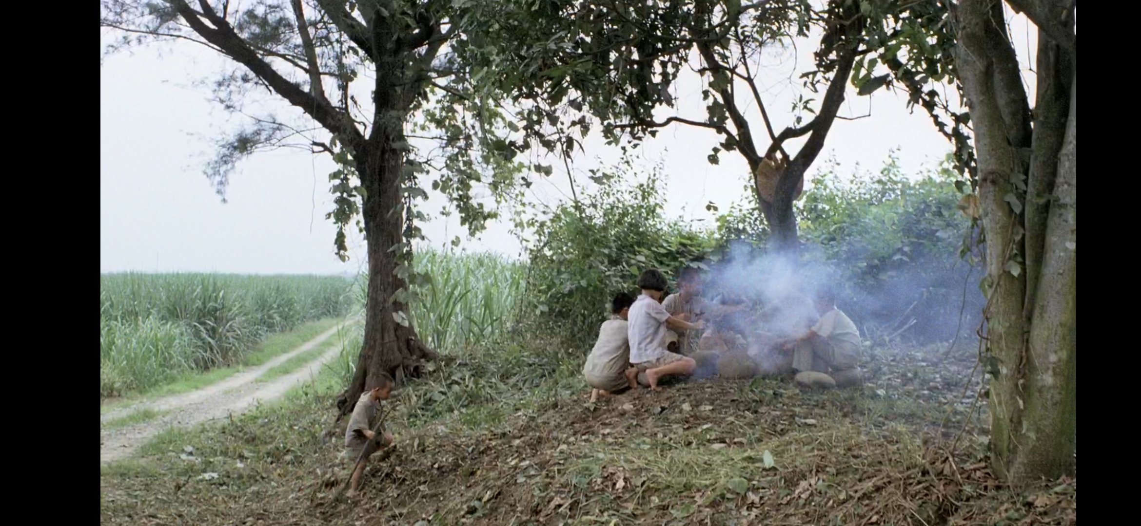 稻草人剧照的剧照