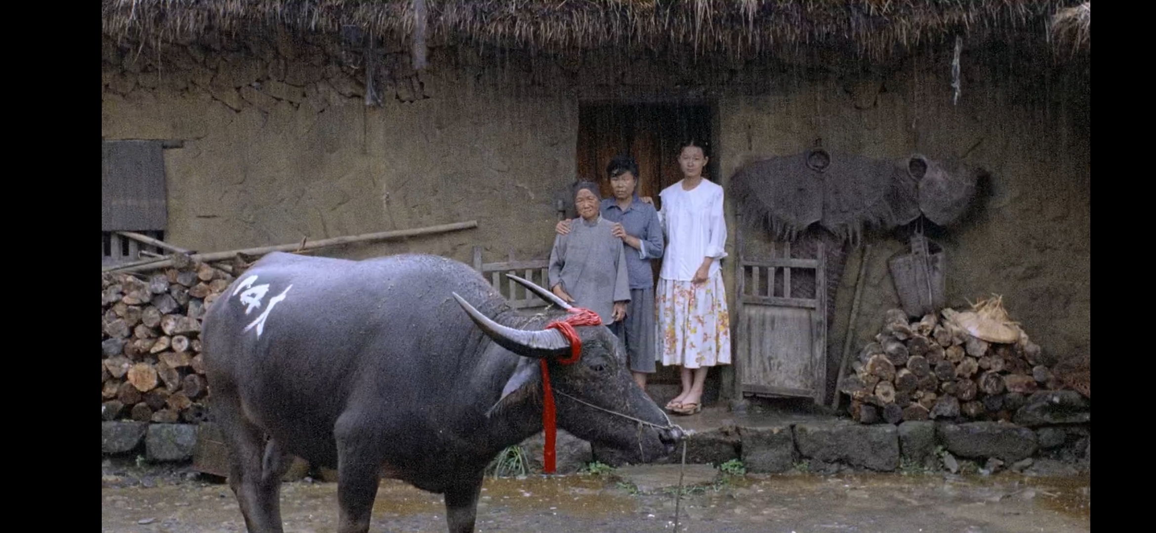 稻草人剧照的剧照