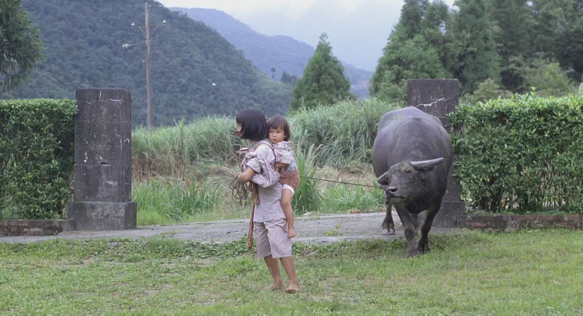 稻草人剧照的剧照