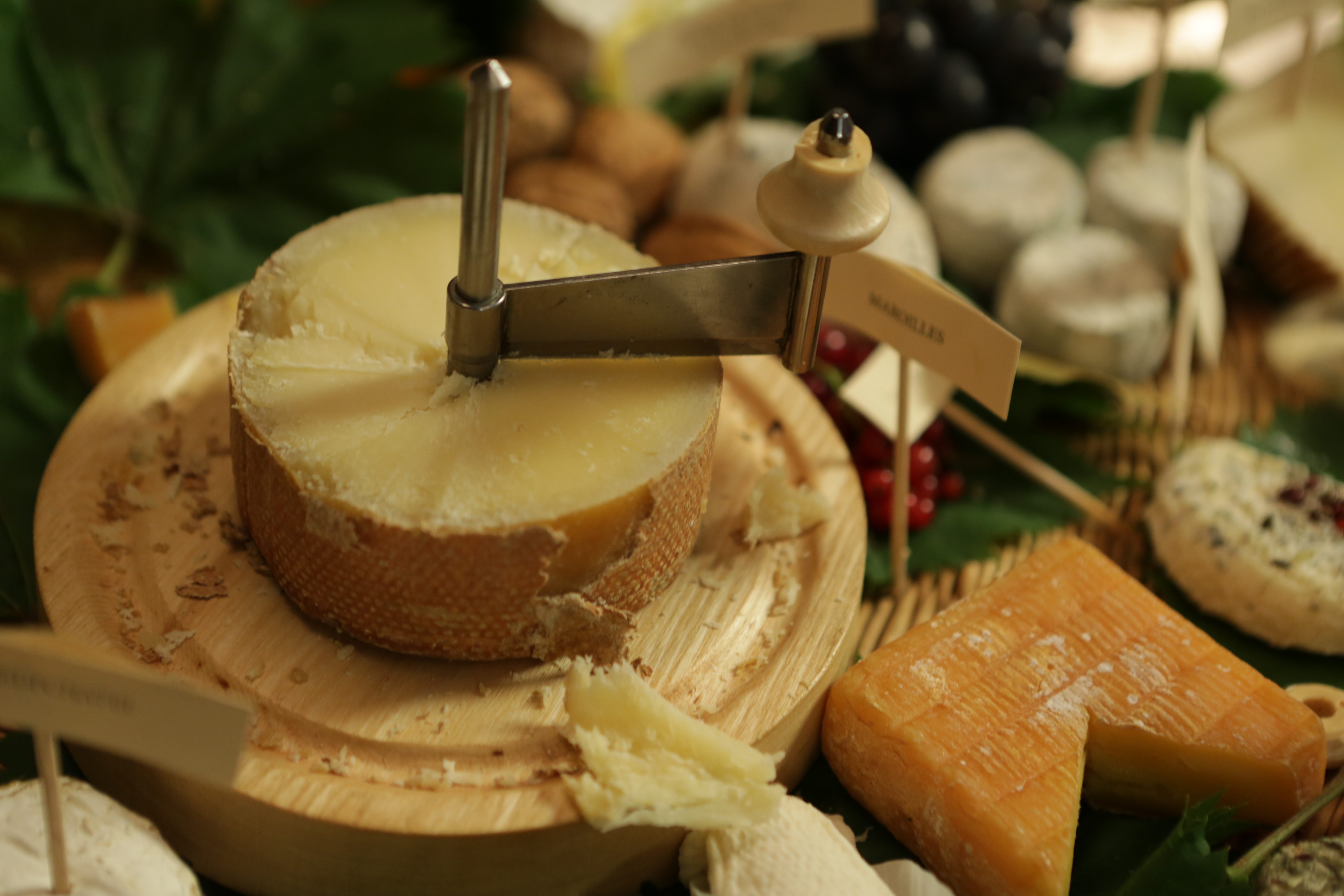 你好安妮剧照的剧照