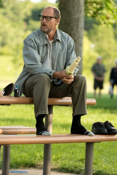 威尔逊剧照的剧照