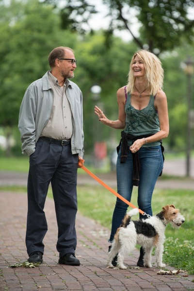 威尔逊剧照的剧照