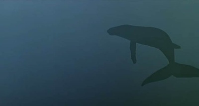 肝脏大夫剧照的剧照