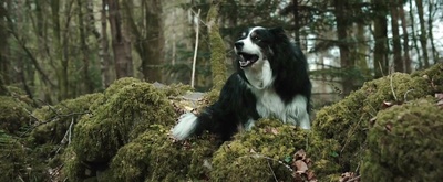 圣魇剧照的剧照