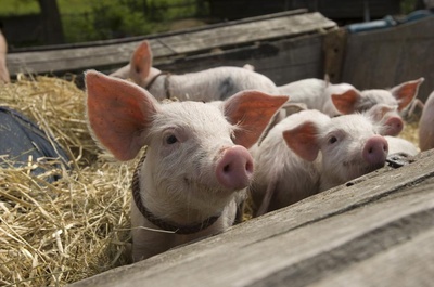 魔法保姆麦克菲2剧照的剧照