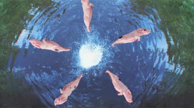 魔法保姆麦克菲2剧照的剧照