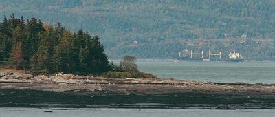 夜色无边剧照的剧照