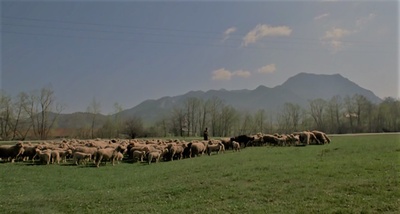 黄金时代的故事剧照的剧照