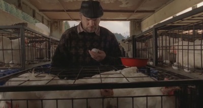 黄金时代的故事剧照的剧照