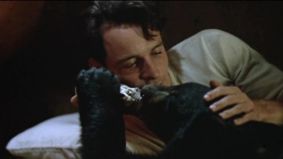 黑熊维尼剧照的剧照