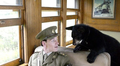 黑熊维尼剧照的剧照