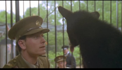 黑熊维尼剧照的剧照