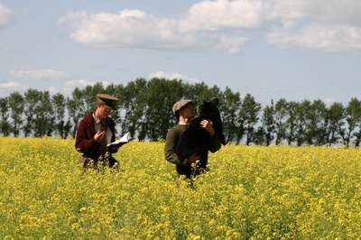 黑熊维尼剧照的剧照
