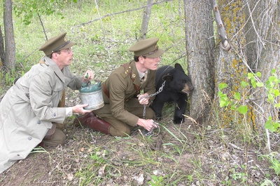 黑熊维尼剧照的剧照
