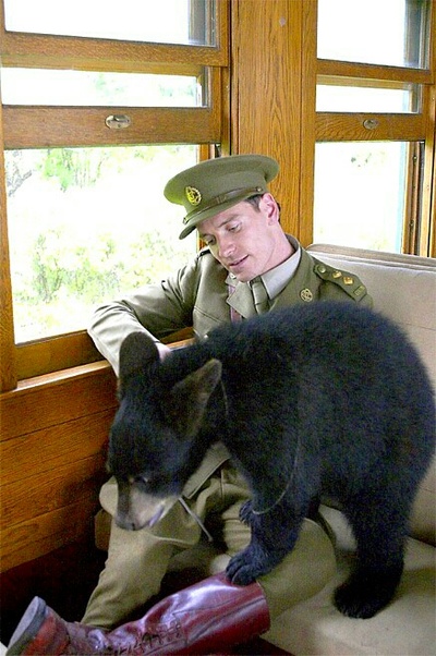 黑熊维尼剧照的剧照