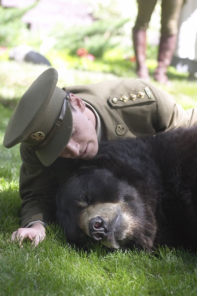 黑熊维尼剧照的剧照