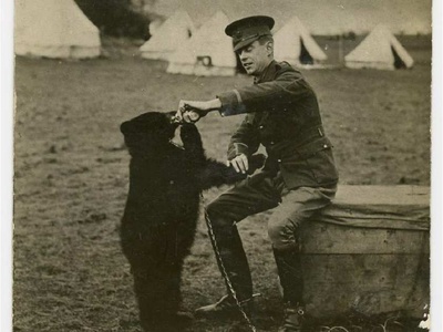 黑熊维尼剧照的剧照