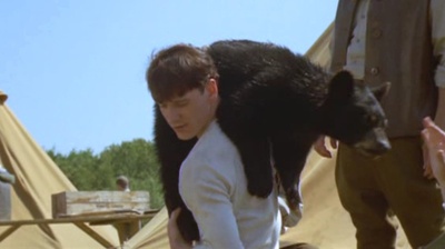 黑熊维尼剧照的剧照